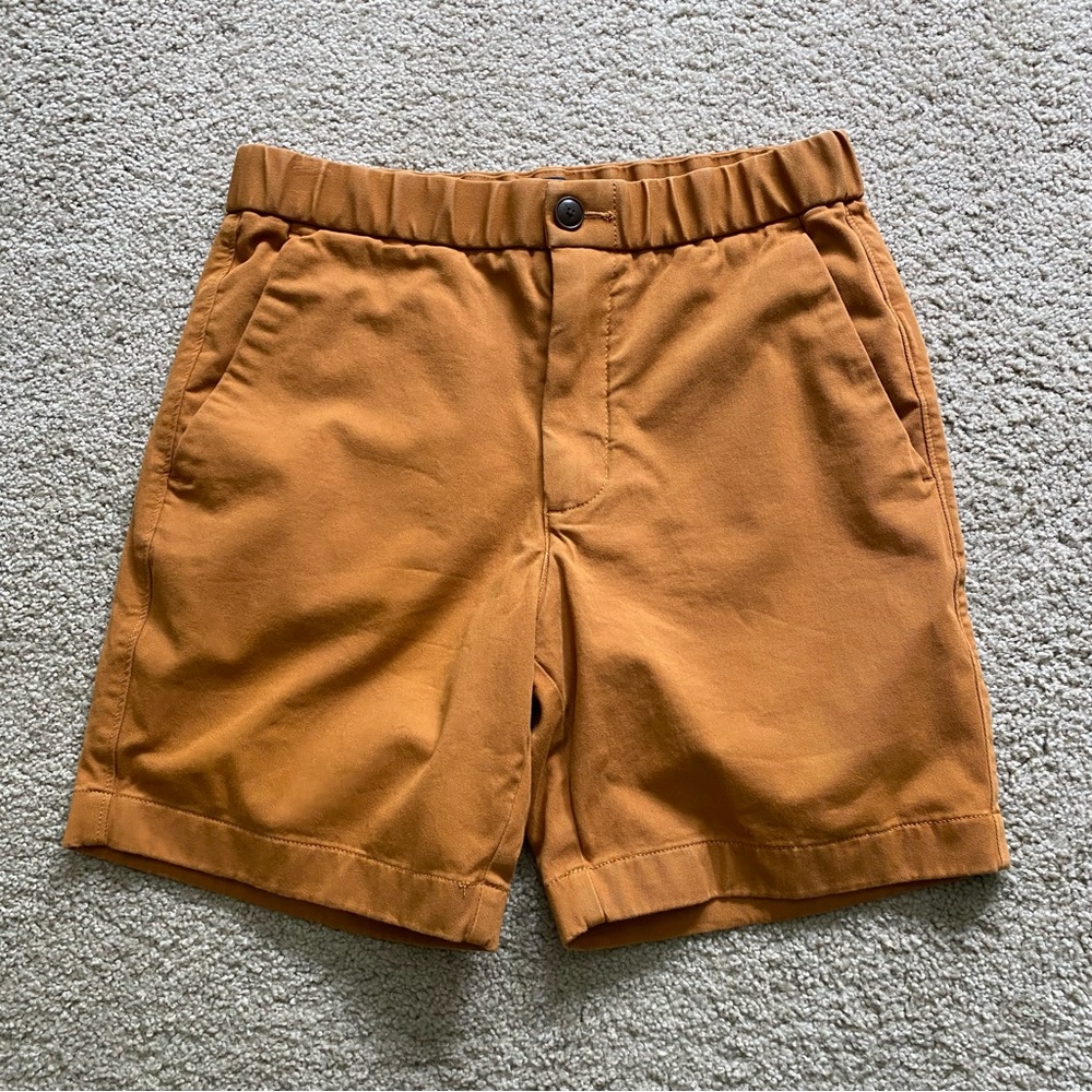 Everlane Uniform Chino Cotton Shorts, Small